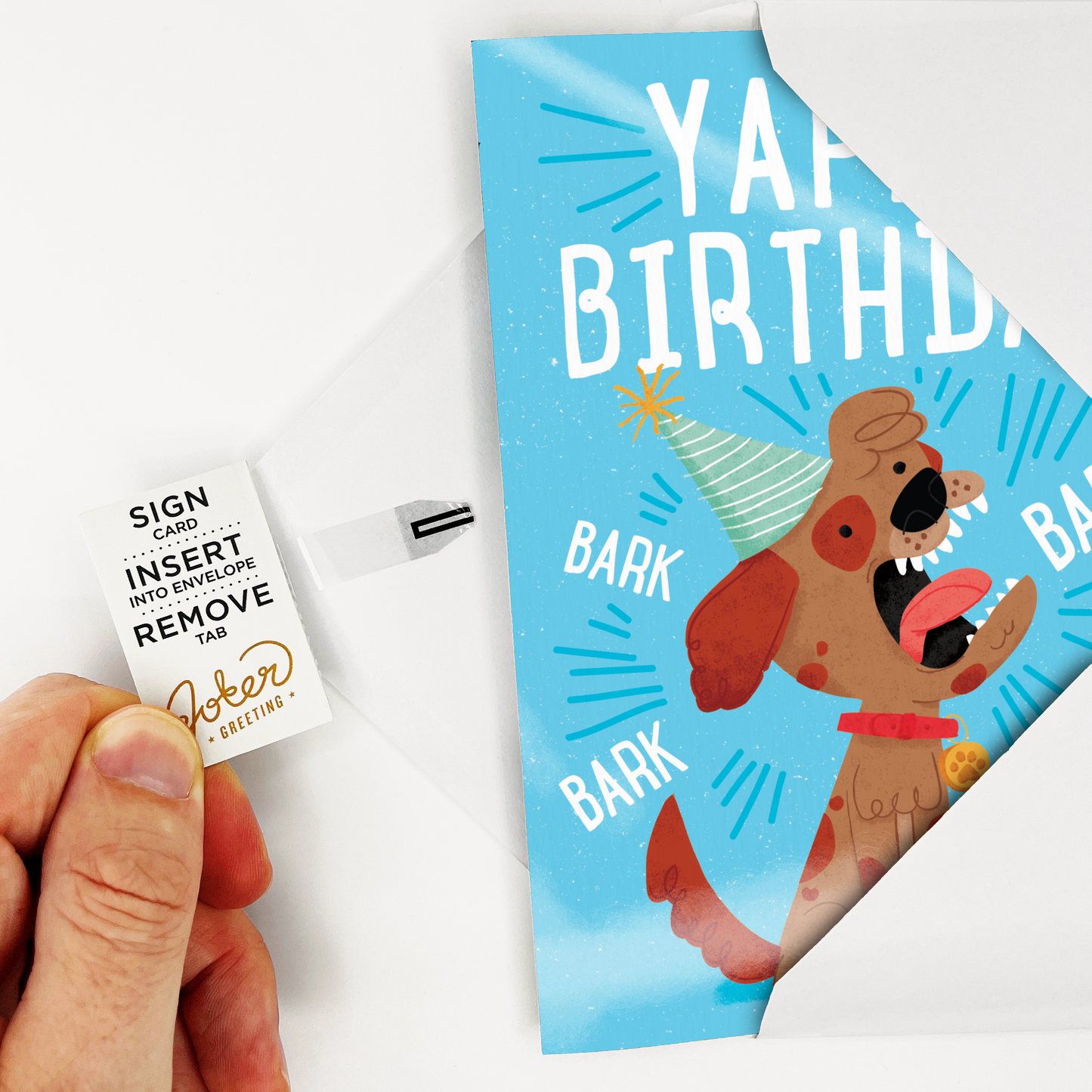 Endless Musical Greeting Card Barking Birthday With Glitter Bomb