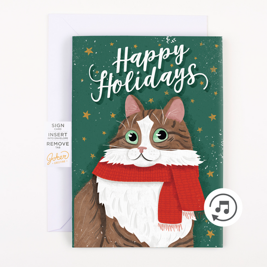 Endless Musical Greeting Card Happy Holidays With Glitter Bomb